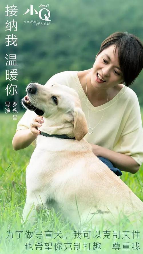 西安建筑科技大学学位证贴吧